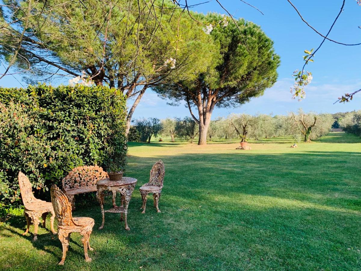 B&B Valle D'Oro Ansedónia Zewnętrze zdjęcie