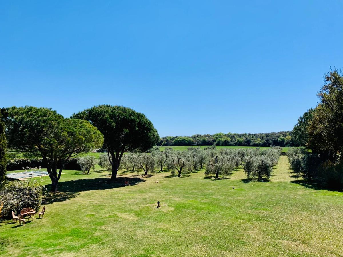 B&B Valle D'Oro Ansedónia Zewnętrze zdjęcie