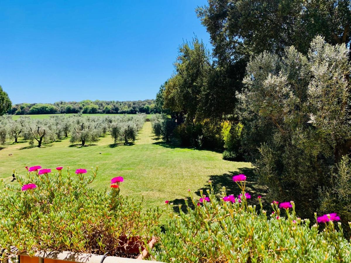 B&B Valle D'Oro Ansedónia Zewnętrze zdjęcie