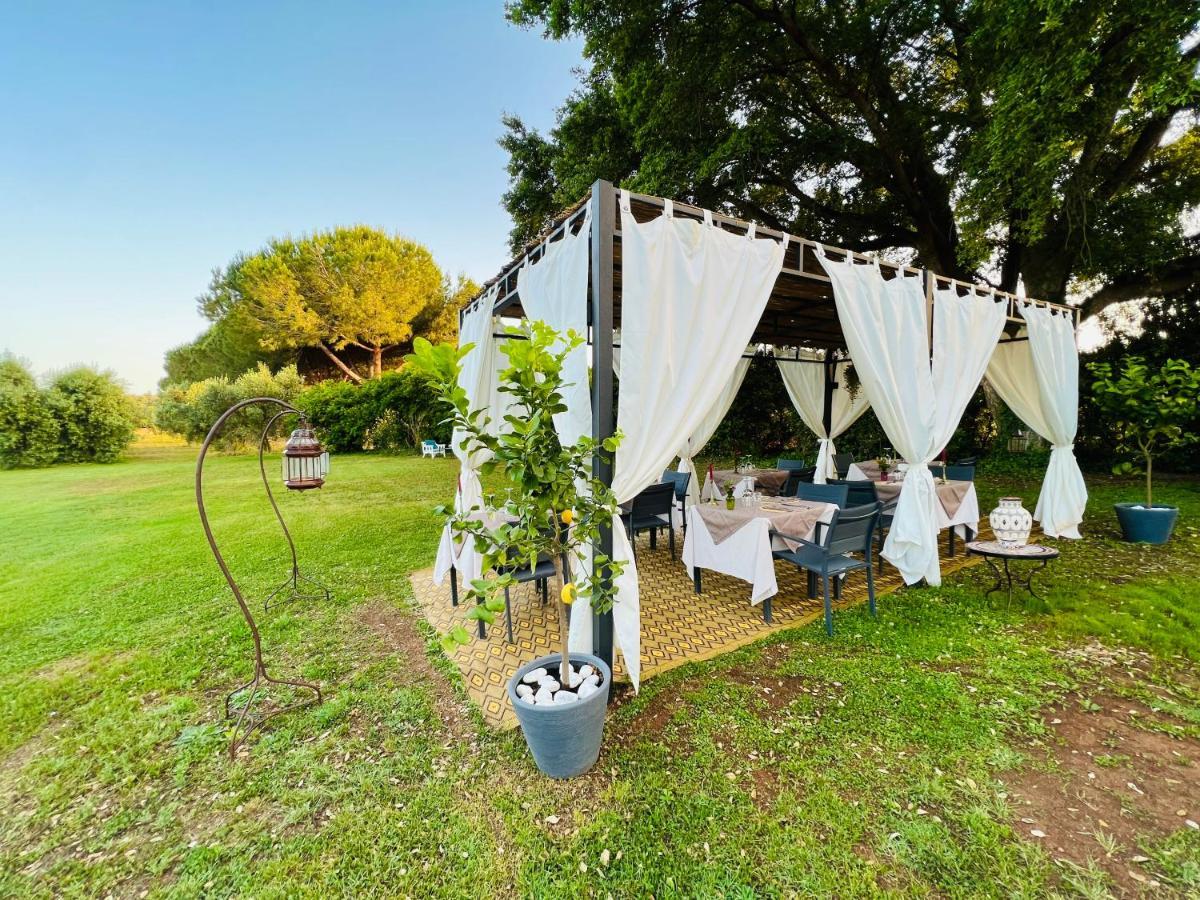 B&B Valle D'Oro Ansedónia Zewnętrze zdjęcie