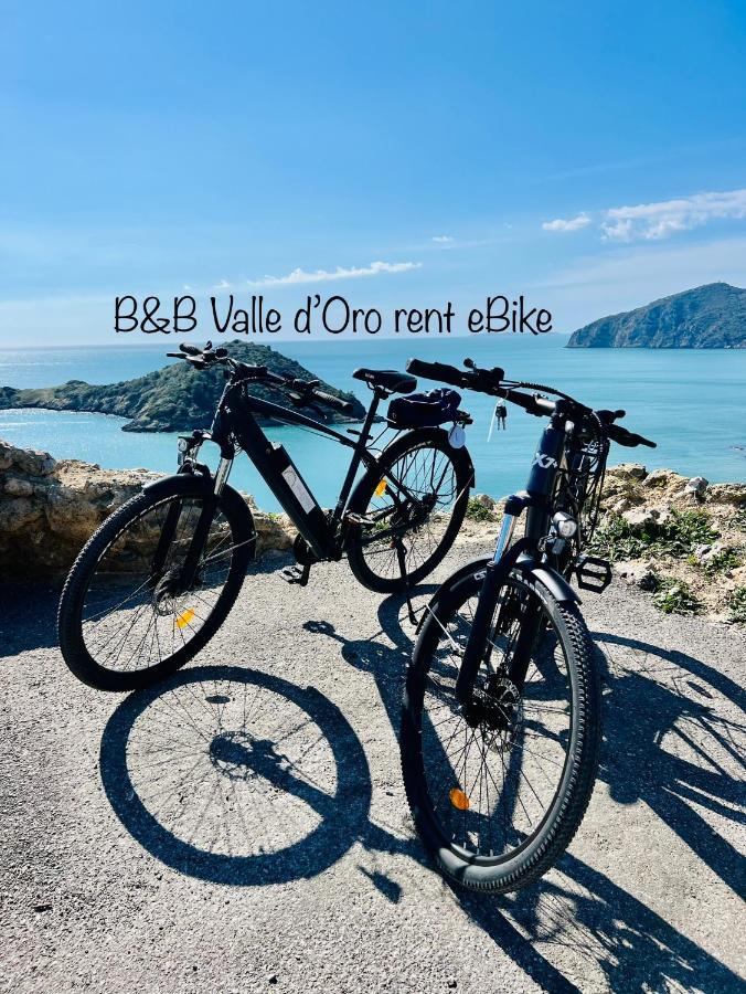 B&B Valle D'Oro Ansedónia Zewnętrze zdjęcie