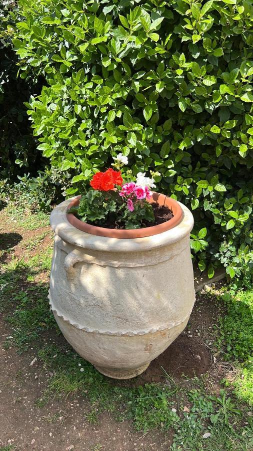 B&B Valle D'Oro Ansedónia Zewnętrze zdjęcie